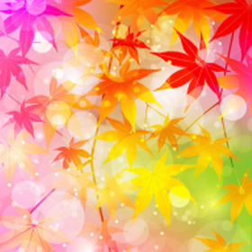 vara节点