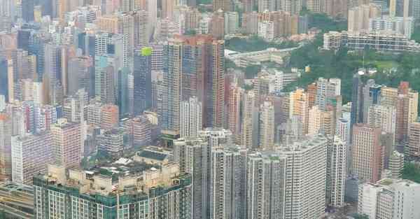 加速精灵和鱼跃哪个好